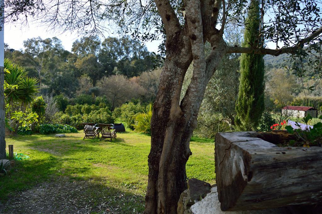 Casa Rural Ahoraya El Colmenar Kültér fotó