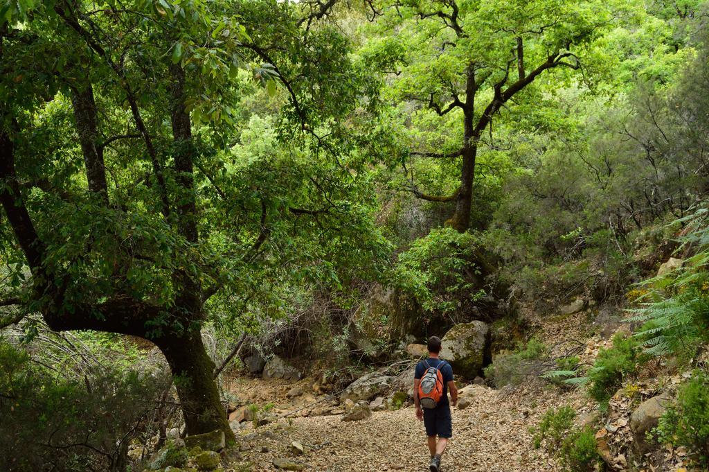 Casa Rural Ahoraya El Colmenar Kültér fotó