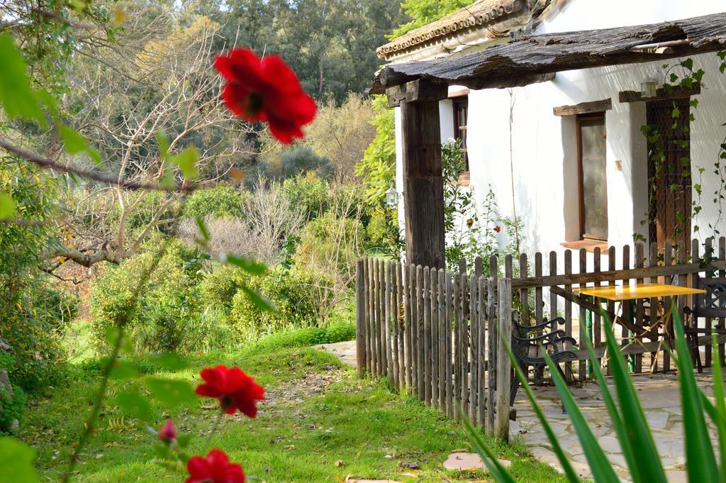 Casa Rural Ahoraya El Colmenar Kültér fotó