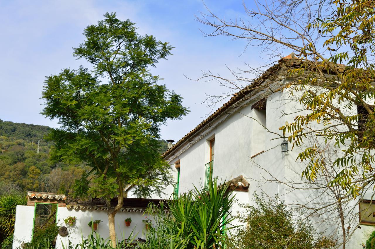 Casa Rural Ahoraya El Colmenar Kültér fotó